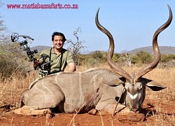 Kudu Bow Hunt