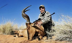 Red Hartebeest Hunt