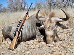 Kings Wildebeest Hunt