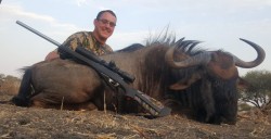 Blue Wildebeest Hunt