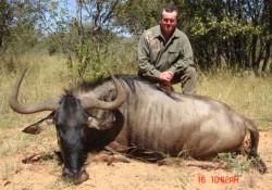 Blue Wildebeest Hunt