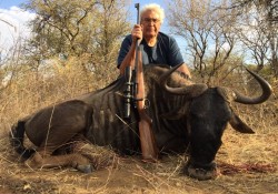 Blue Wildebeest Hunt