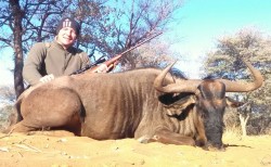 Blue Wildebeest Hunt