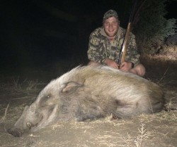 Bushpig Hunt