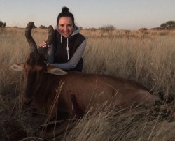 Red Hartebeest Hunt