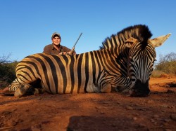 Zebra Hunt