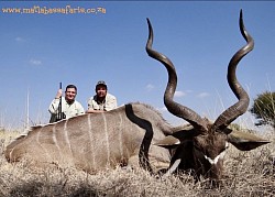 Kudu Hunt