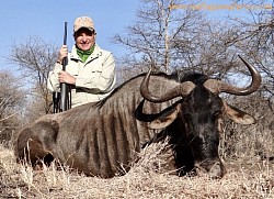 Blue Wildebeest Hunt