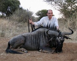 Blue Wildebeest Hunt