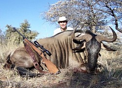 Blue Wildebeest Hunt