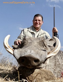 Warthog Hunt