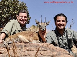 Klipspringer Hunt