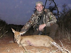 Grey Duiker Hunt