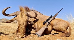 Golden Wildebeest Hunt