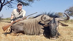 Blue Wildebeest Hunt