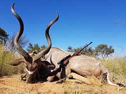 Kudu Hunt