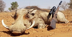 Warthog Hunt