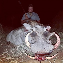 Warthog Hunt