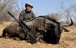 Blue Wildebeest Hunt