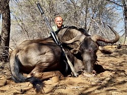 Blue Wildebeest Hunt