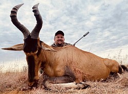 Red Hartebeest Hunt