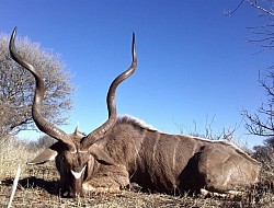 Kudu Hunt