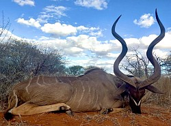 Kudu Hunt