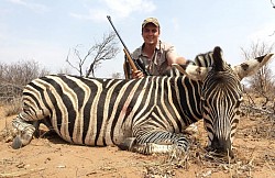 Zebra Hunt