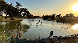 Mtlbas Safaris Motopi Lodge