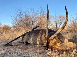 Waterbuck Hunt