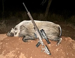 Bushpig Hunt